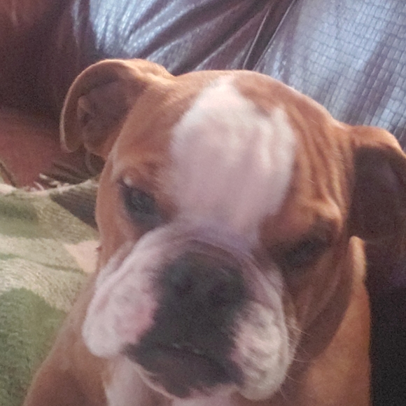 Meet your Posher, Gg - Picture 2 of 4